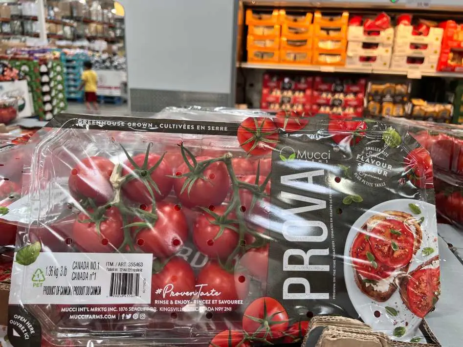 TOMATOES ON THE VINE PRODUCT OF CANADA - Costco Canada (ITM 355463)