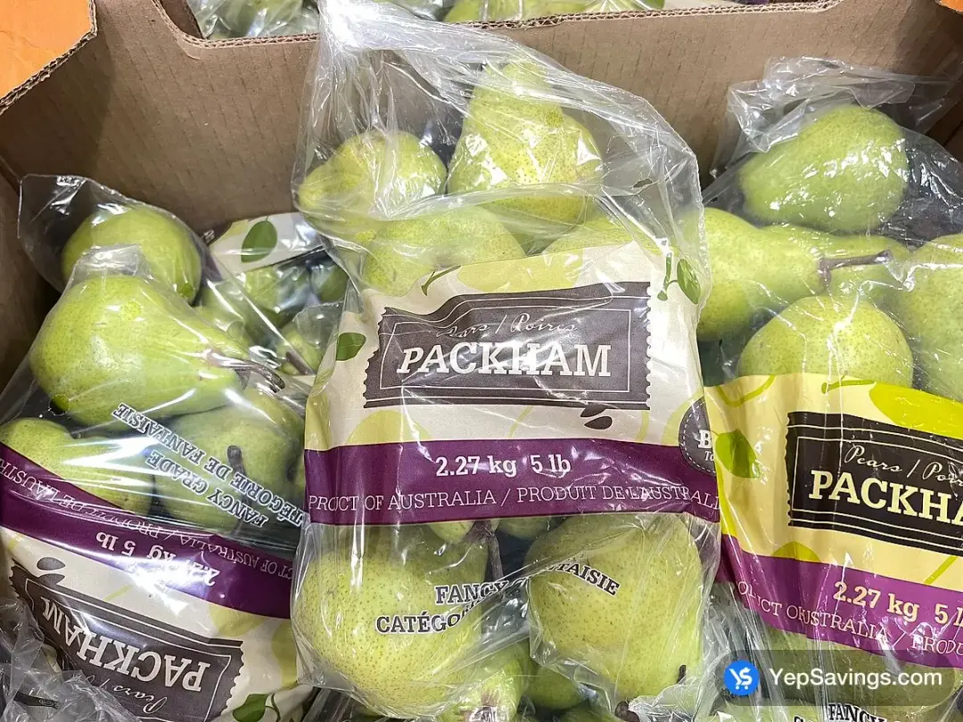 PACKHAM PEARS PRODUCT OF AUSTRALLA FANCY GRADE - Costco Canada (ITM 1071279)