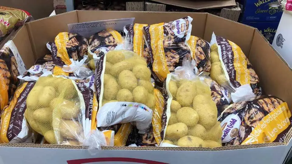 YELLOW FLESH POTATOES PRODUCT OF USA NO. 1 GRADE - Costco Canada (ITM 1170746)