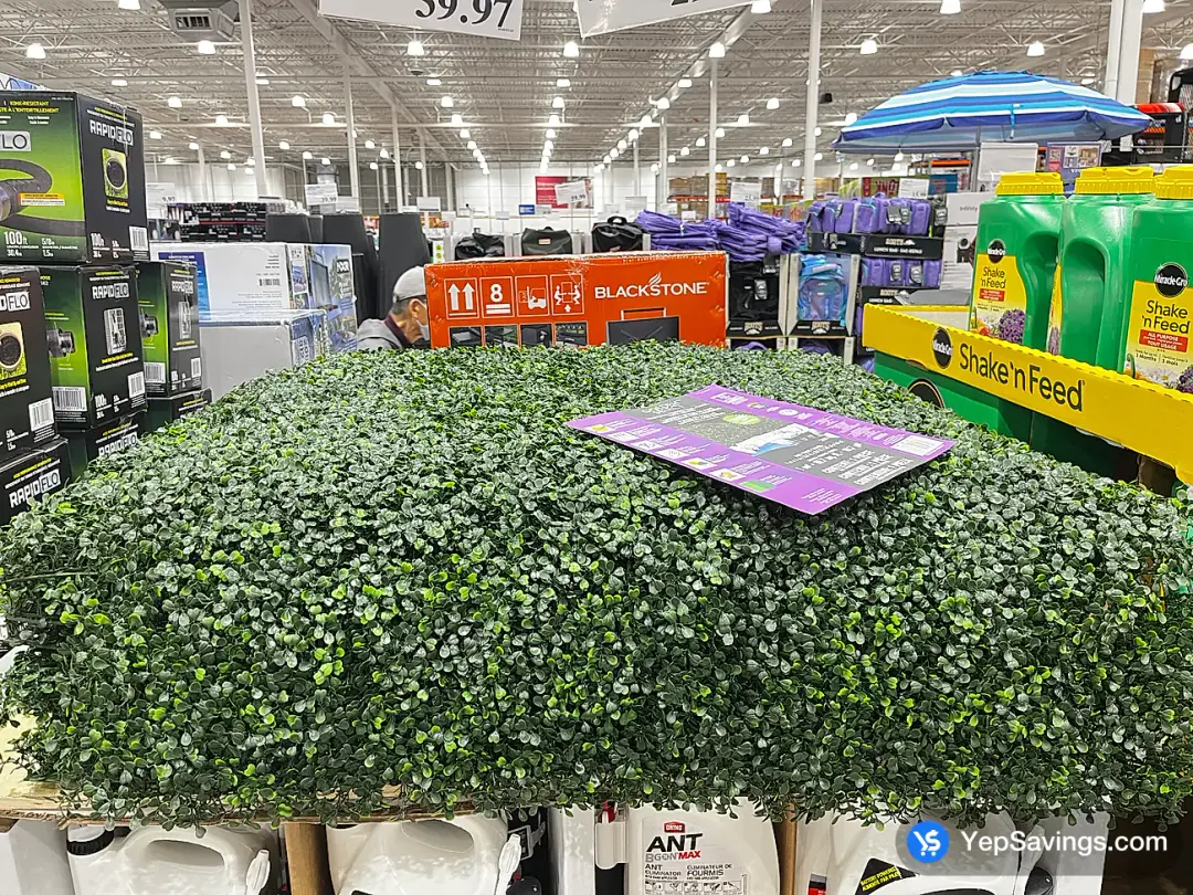 GOLDEN SELECT HEDGE WITH LIGHTS WALL PANEL 1m x 1m - Costco Canada (ITM 1807349)
