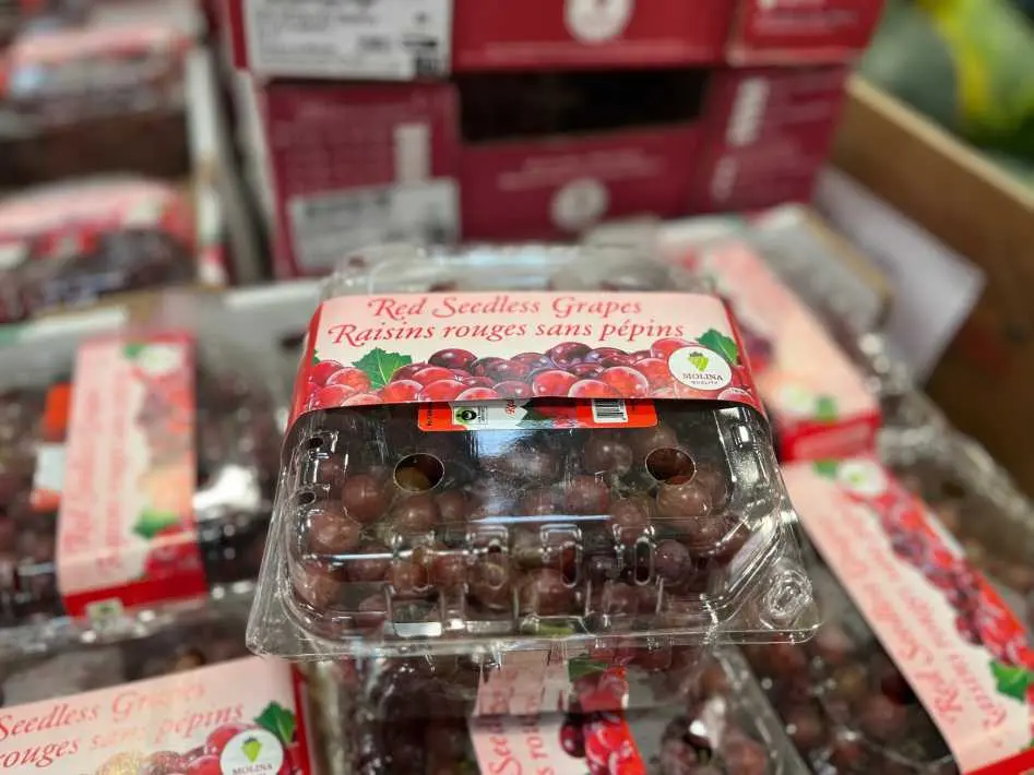 RED SEEDLESS GRAPES PRODUCT OF MEXICO NO . 1 GRADE - Costco Canada (ITM 5276)