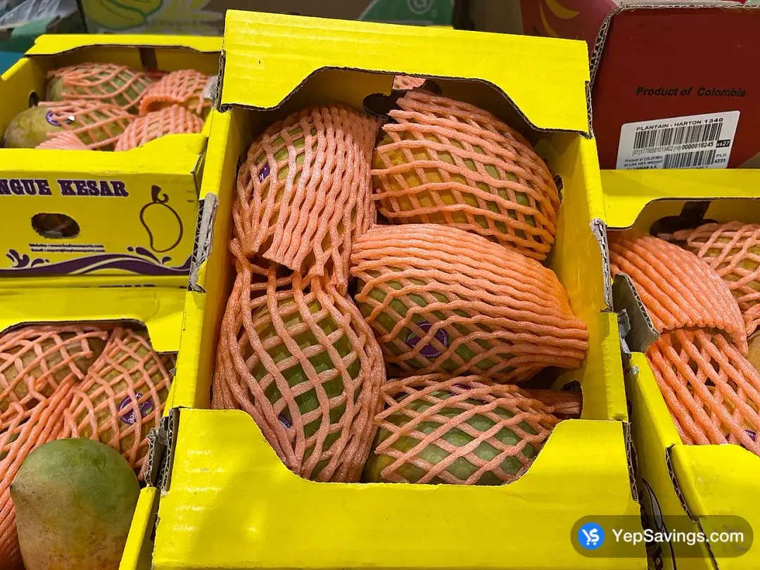 KESAR MANGO PRODUCT OF INDIA - Costco Canada (ITM 1184)