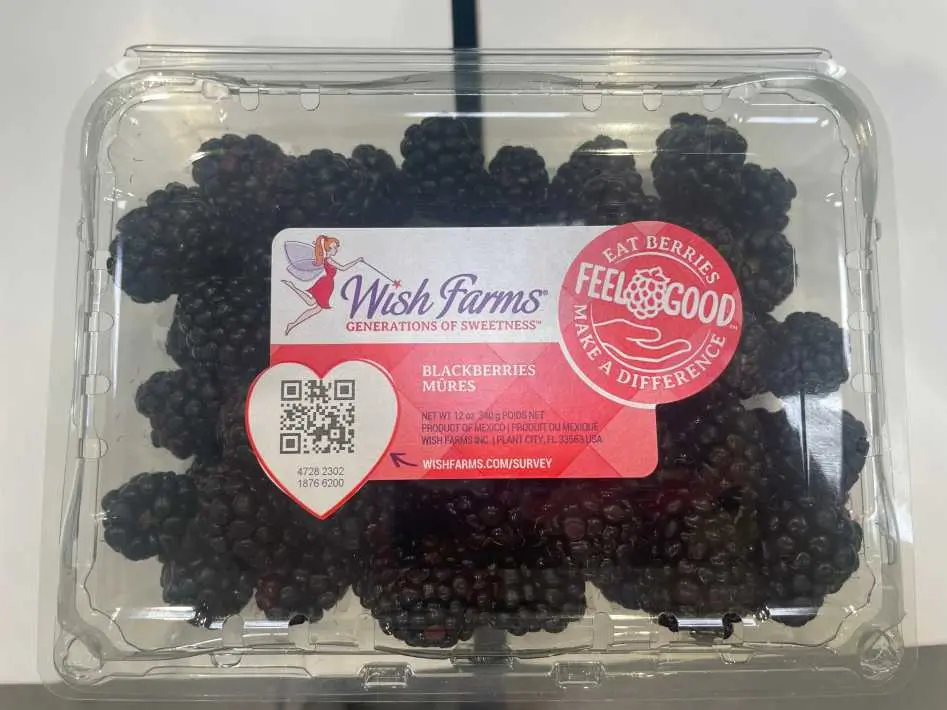 BLACKBERRIES PRODUCT OF USA - Costco Canada (ITM 765279)