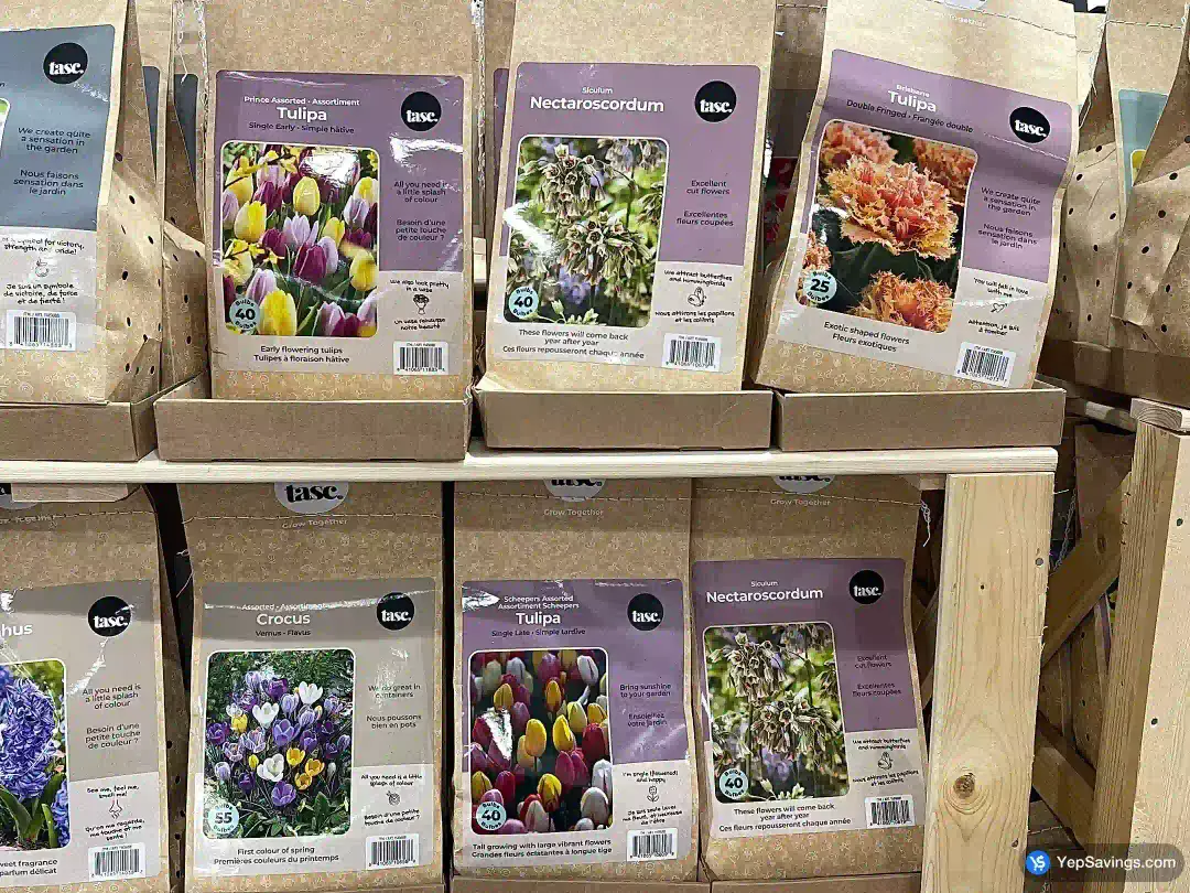 BULBS ARE EASY AUTUMN BULBS ASSORTED - Costco Canada (ITM 1145688)