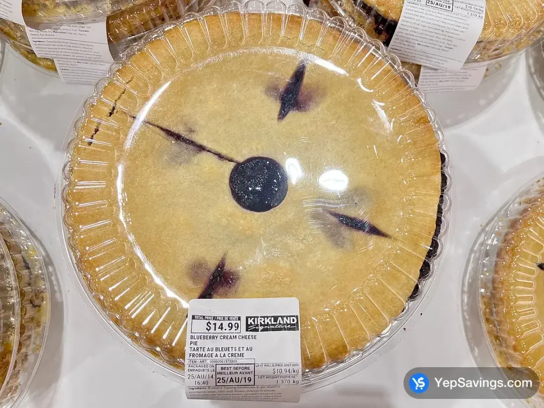 Blueberry Cheese Crisp - Costco Canada (ITM 1127484)