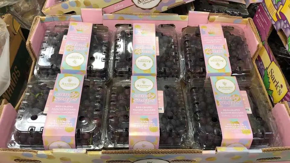 CANDY SNAP RED SEEDLESS GRAPES PRODUCT OF USA - Costco Canada (ITM 1298989)