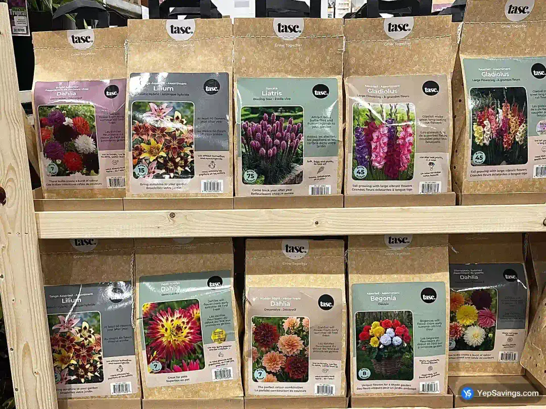 BULBS ARE EASY ASSORTED SPRING BULBS - Costco Canada (ITM 1206621)
