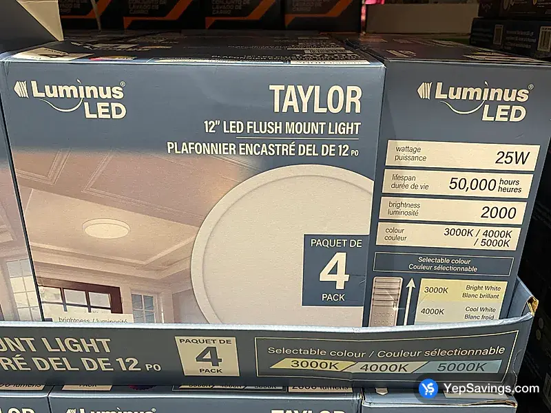 Costco LUMINUS FLUSHMOUNT PACK OF 4
