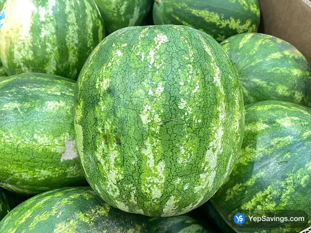 SEEDLESS WATERMELON PRODUCT OF MEXICO - Costco Canada (ITM 1004032)