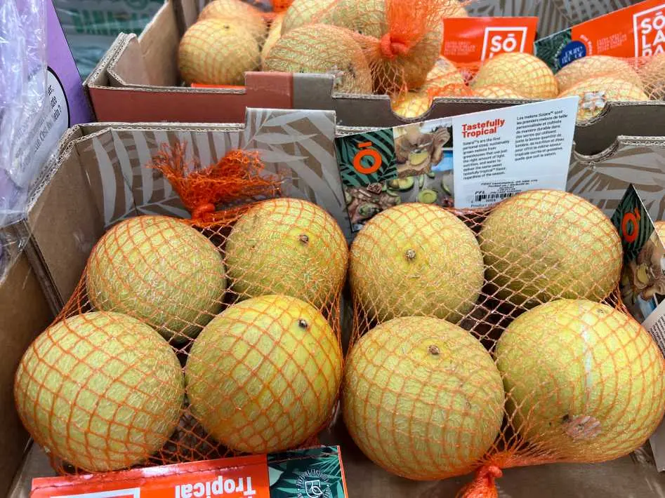 MINI GALIA MELONS PRODUCT OF MEXICO - Costco Canada (ITM 1004326)