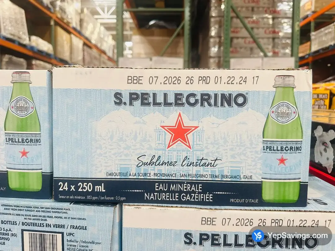 SAN PELLEGRINO MINERAL WATER 24 x 250 mL - Costco Canada (ITM 109450)
