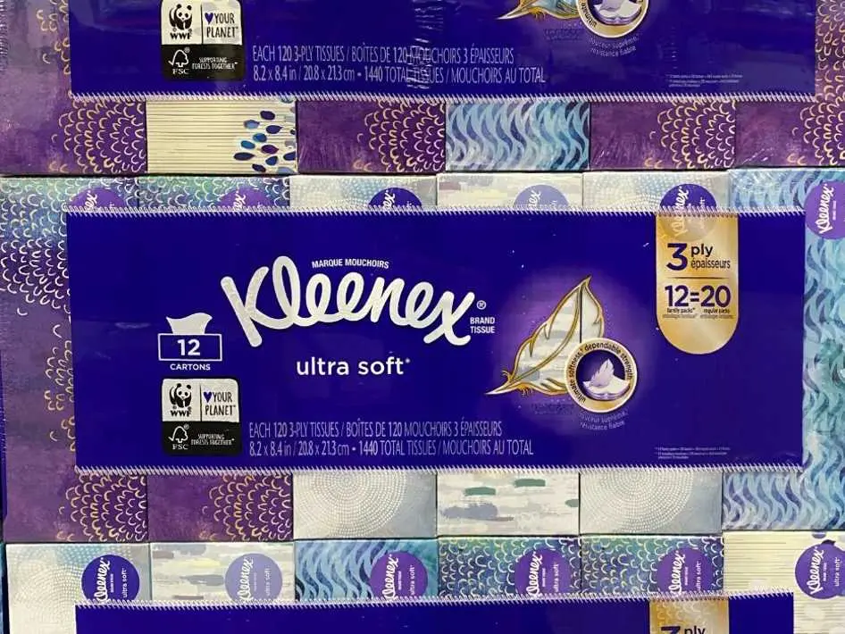 KLEENEX ULTRA SOFT 3 PLY FACIAL TISSUE 12 BOXES x 120 SHEETS - Costco Canada (ITM 1270070)