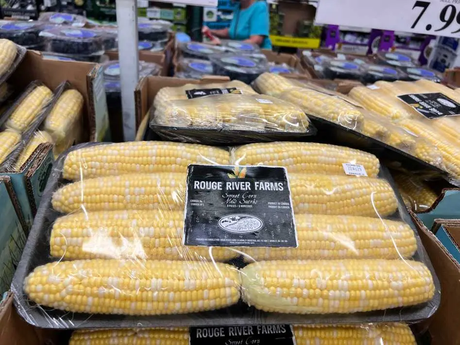 SWEET CORN PRODUCT OF MEXICO NO.1 GRADE - Costco Canada (ITM 38742)