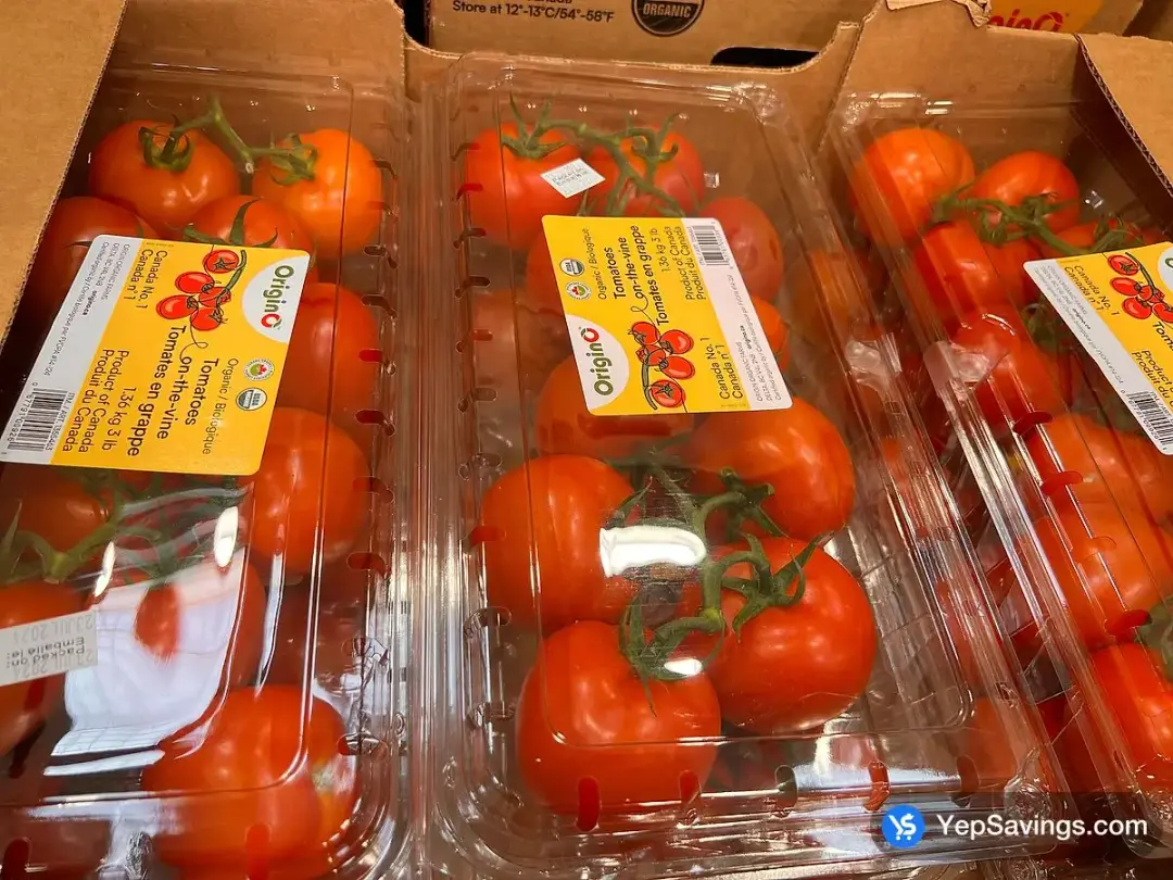 ORGANIC TOMATOES ON THE VINE PRODUCT OF CANADA - Costco Canada (ITM 1355463)