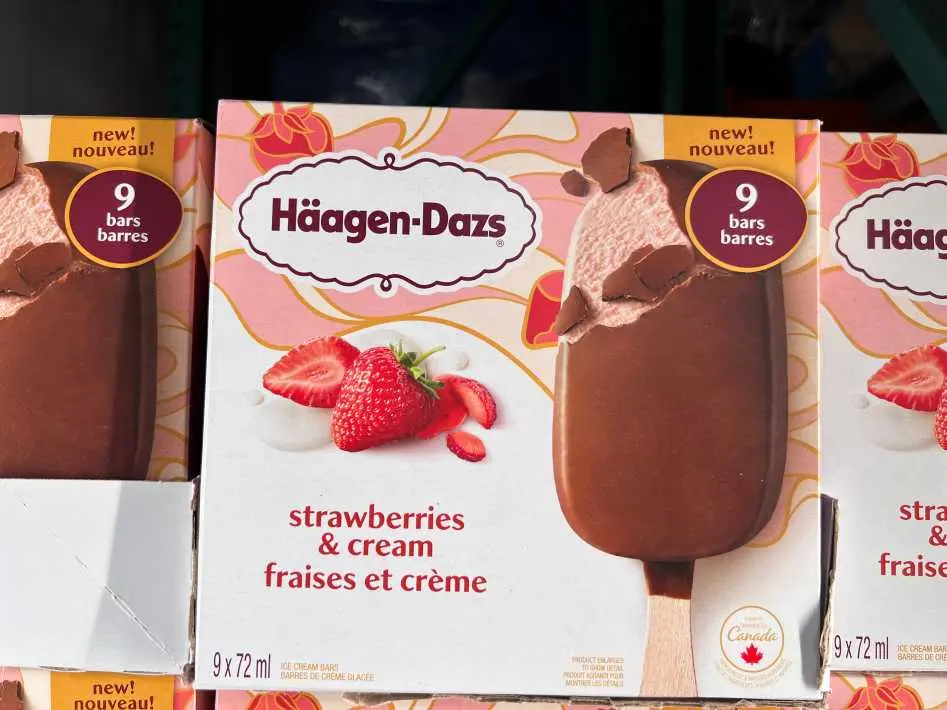 HAAGEN-DAZS STRAWBERRIES & CREAM 9 x 72 mL - Costco Canada (ITM 1124702)