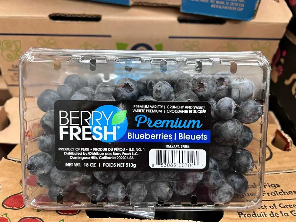 BLUEBERRIES PRODUCT OF PERU - Costco Canada (ITM 57554)