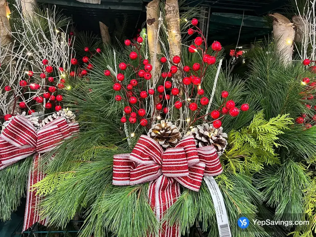 12" PREMIUM HOLIDAY OUTDOOR ARRANGEMENT - Costco Canada (ITM 1213432)