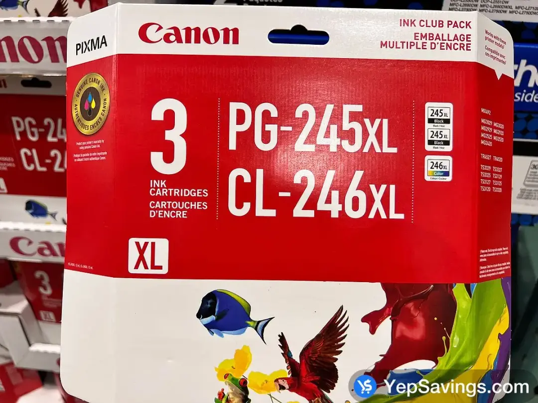 CANON PG245XL / CL246XL INK CARTRIDGES PACK OF 1 COL / 2 BLK - Costco Canada (ITM 1130376)