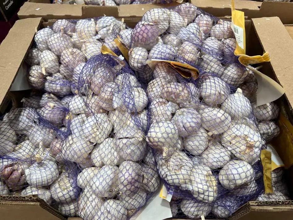 WHOLE GARLIC PRODUCT OF CHINA - Costco Canada (ITM 1214759)