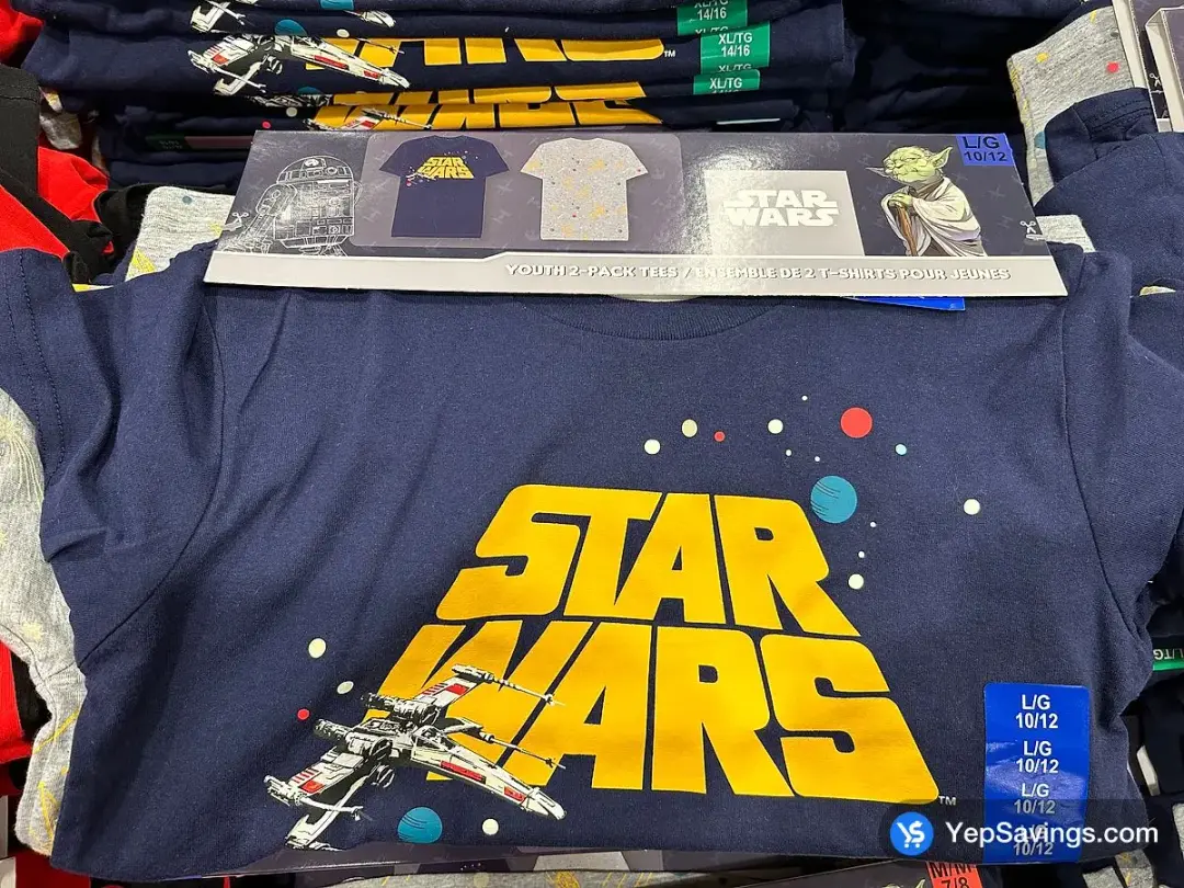 LICENSED T - SHIRT 2PK KIDS SIZES 6-18 / 20 - Costco Canada (ITM 1757472)