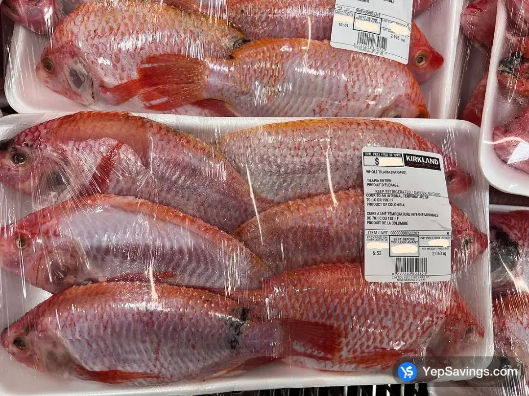 WHOLE TILAPIA ( FARMED ) - Costco Canada (ITM 22202)