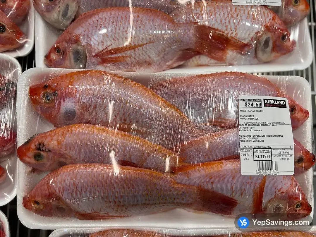 WHOLE TILAPIA ( FARMED ) - Costco Canada (ITM 1745)
