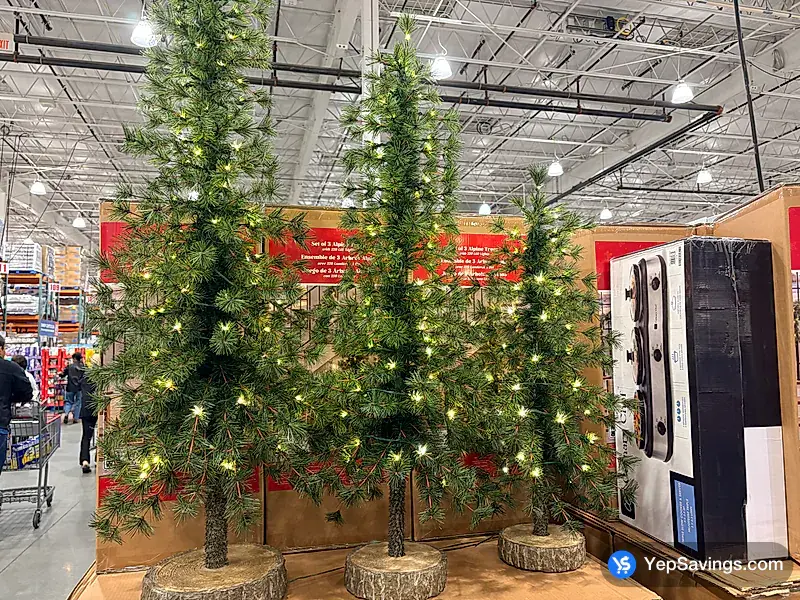 Costco ALPINE TREES SET OF 3 220 LED LIGHTS