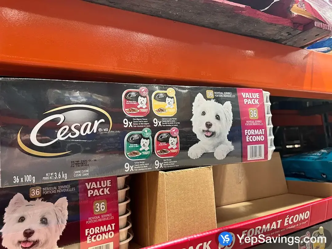 CESAR VARIETY GOURMET DOG FOOD 36x100g - Costco Canada (ITM 1204752)