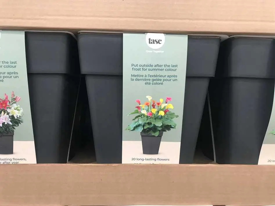 PREPLANTED BULBS ASSORTED - Costco Canada (ITM 1158176)