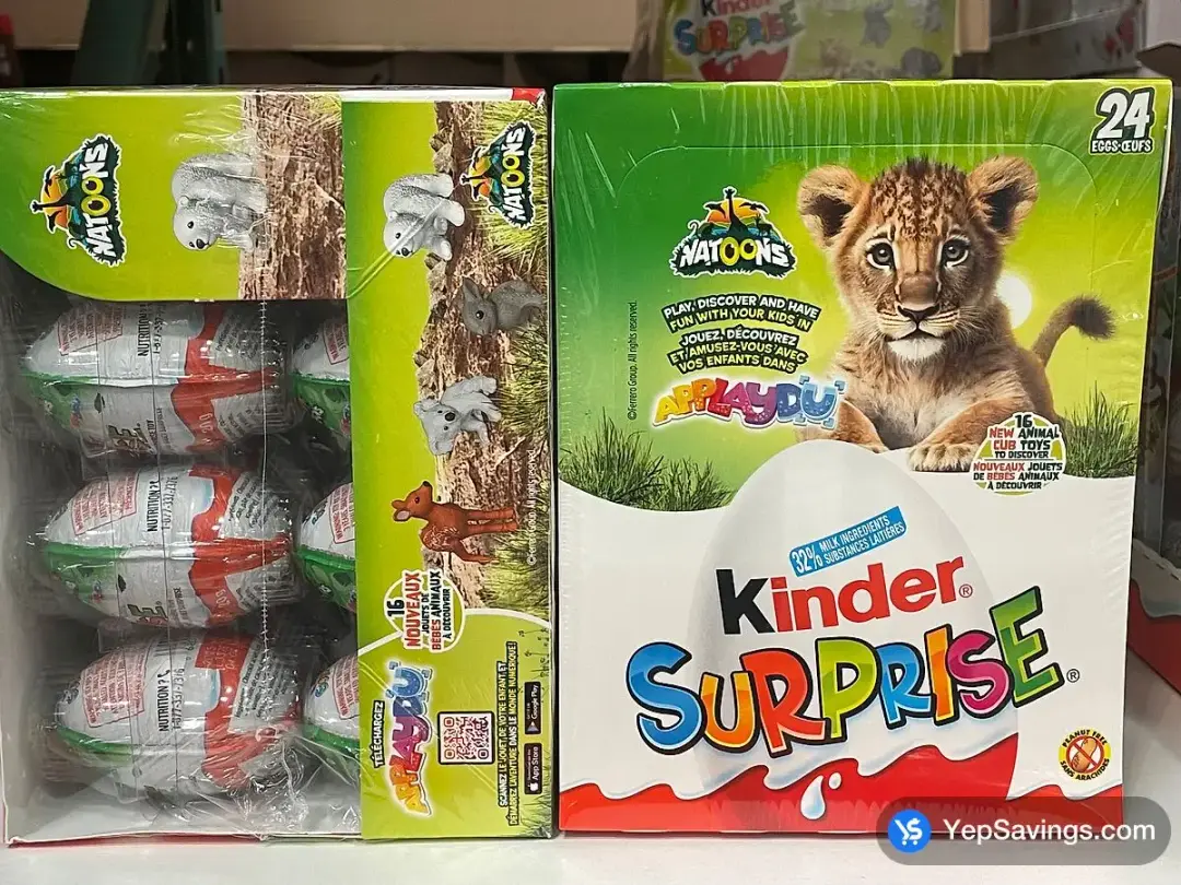 KINDER SURPRISE CLASSIC 24 x 20 g - Costco Canada (ITM 1079949)