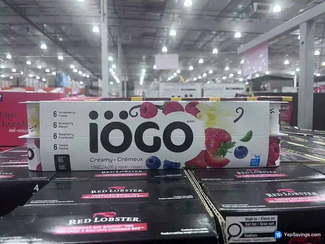 IOGO CREAMY 24 x 100 g - Costco Canada (ITM 1012726)