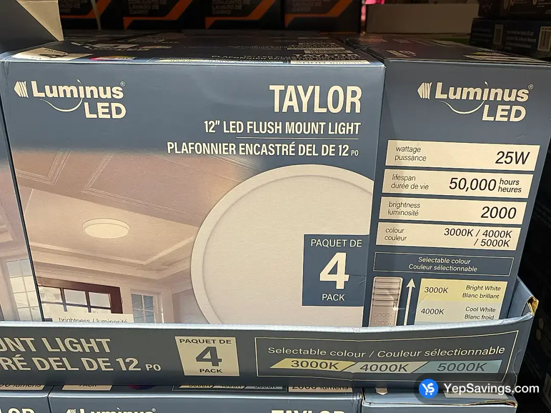 LUMINUS FLUSHMOUNT PACK OF 4 - Costco Canada (ITM 2008932)