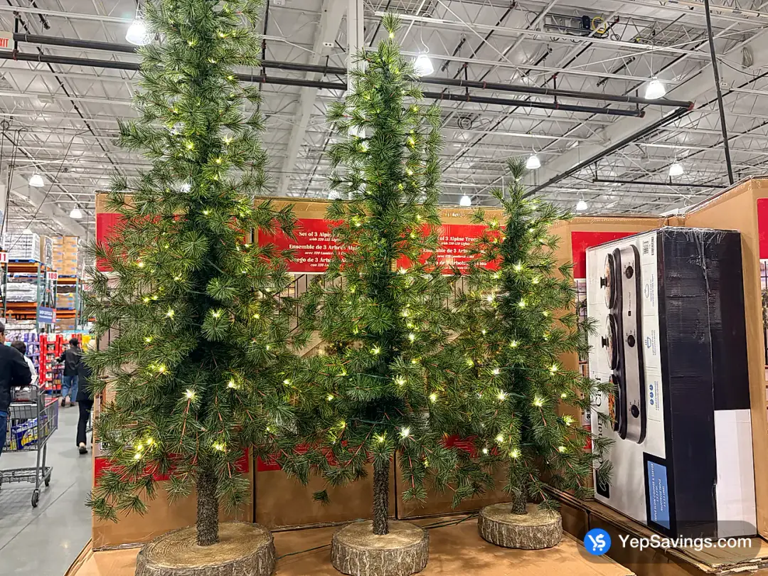 ALPINE TREES SET OF 3 220 LED LIGHTS - Costco Canada (ITM 2042759)
