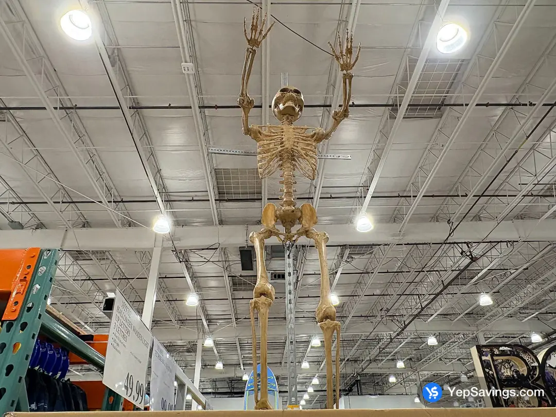 Costco 7FT POSEABLE SKELETON