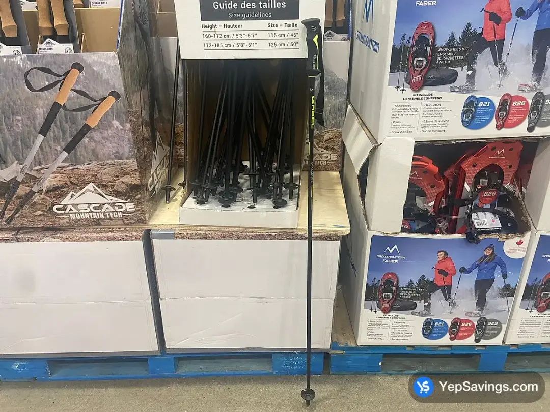 GABEL ALPINE SKI POLES LENGTH : 115 OR 125 CM - Costco Canada (ITM 1284308)
