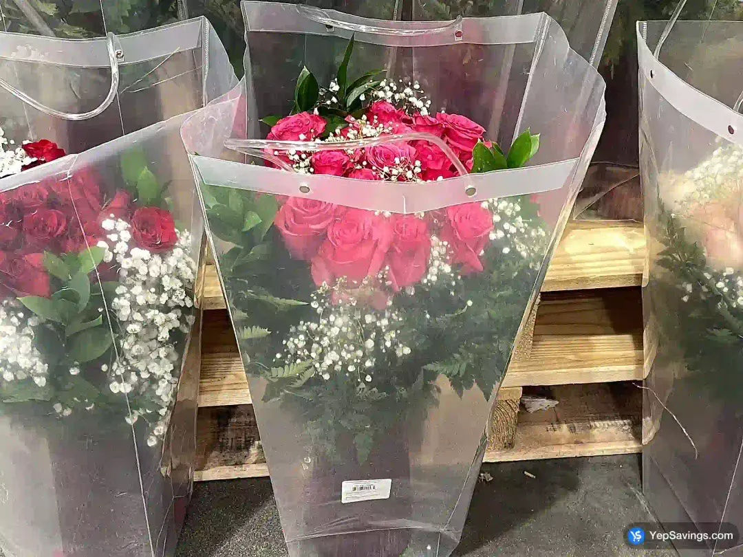 BE MINE 24 RED ROSES IN A VASE - Costco Canada (ITM 1109485)
