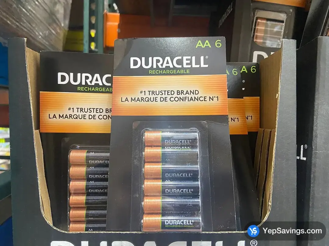 DURACELL AA REACHARGEABLE BATTERY PACK OF 6 - Costco Canada (ITM 1856276)