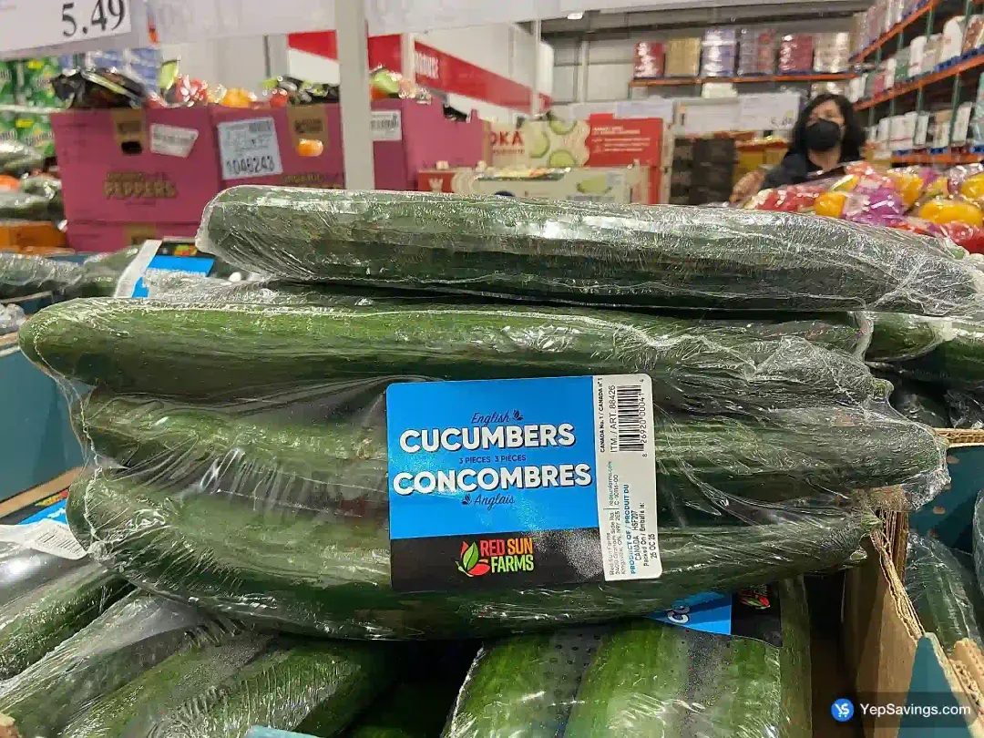 ENGLISH CUCUMBERS PRODUCT OF CANADA CANADA NO.1 - Costco Canada (ITM 88426)