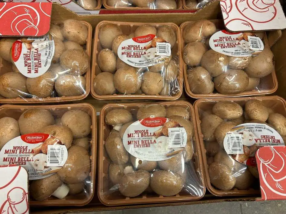WHOLE MINI BELLAS PRODUCT OF CANADA - Costco Canada (ITM 1076115)