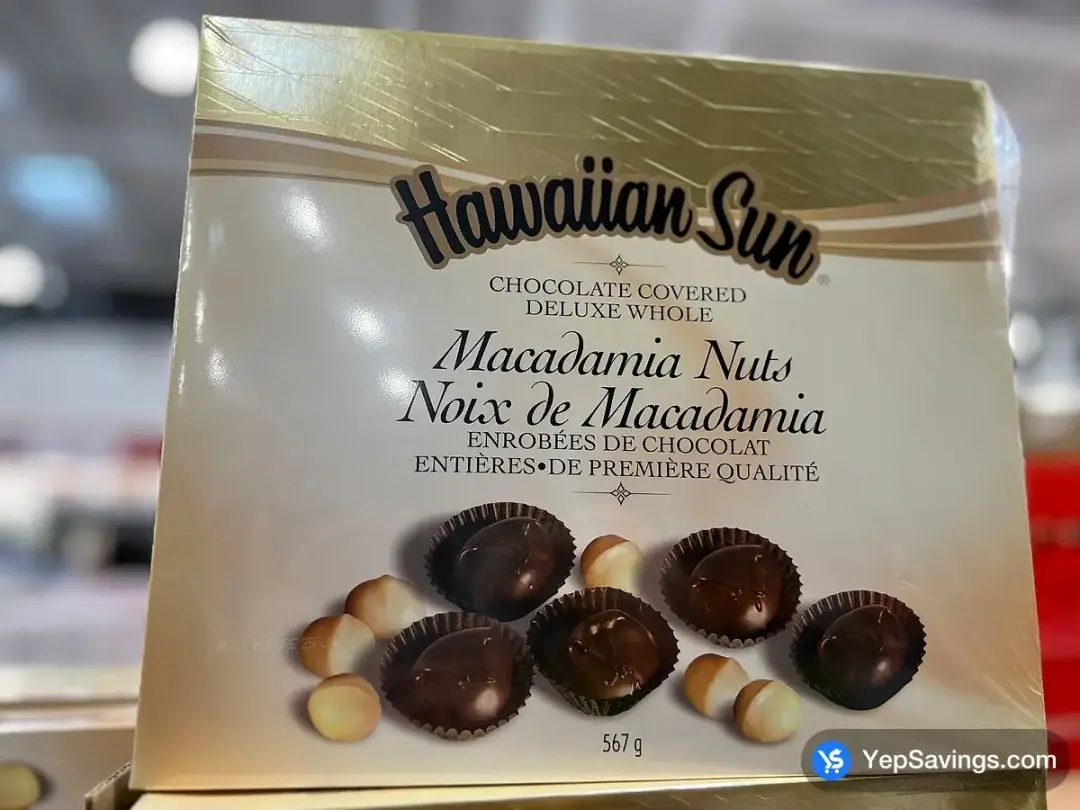HAWAIIAN SUN CHOCOLATE COVERED MACADAMIA NUTS 567 g - Costco Canada (ITM 1066295)