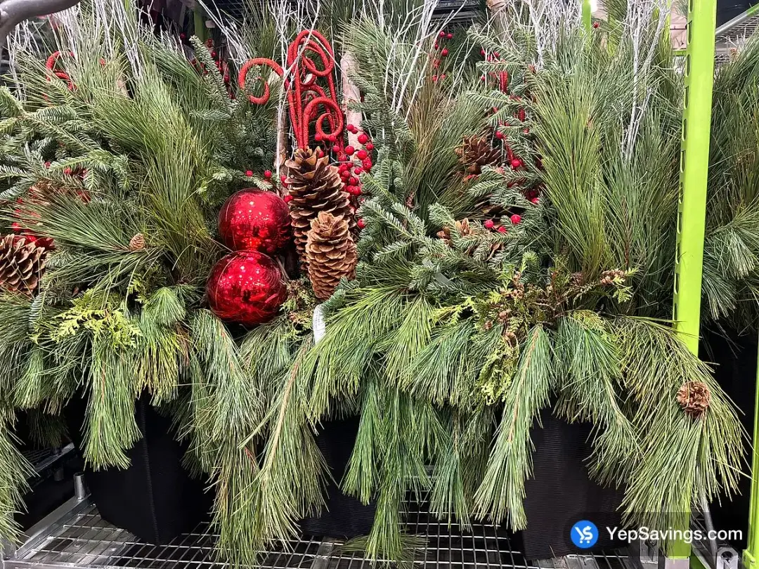 LARGE OUTDOOR ARRANGEMENT - Costco Canada (ITM 1213479)