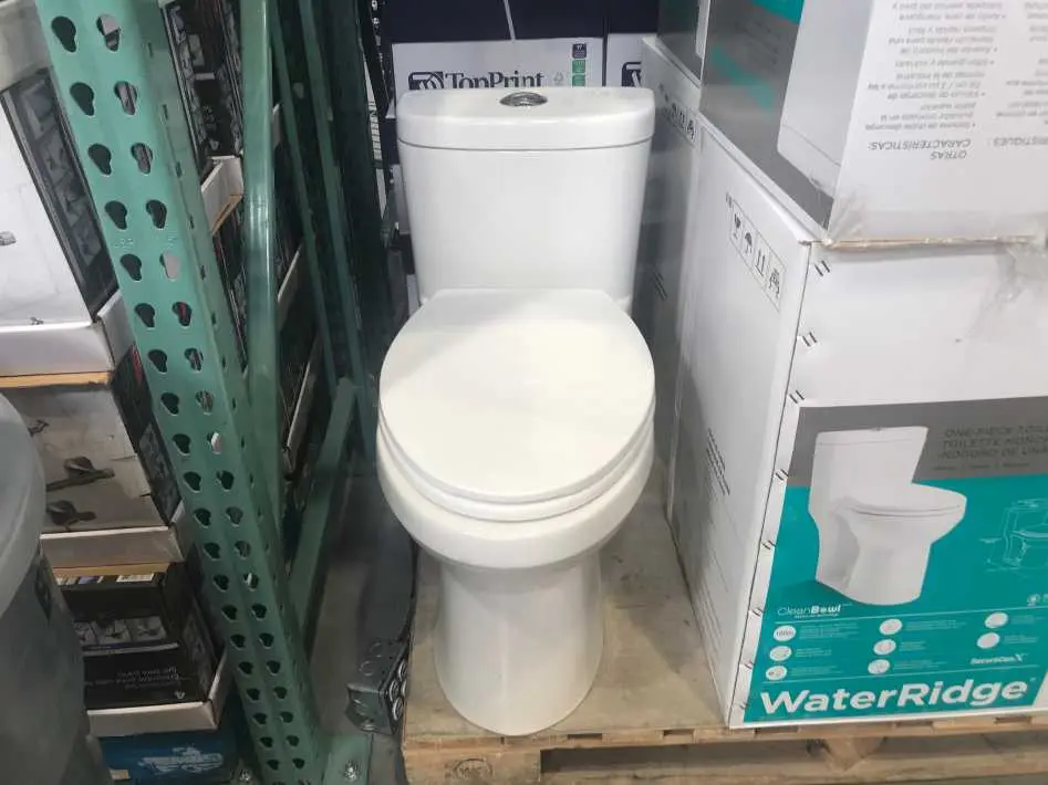 WATERRIDGE ONE PIECE ELONGATED DUAL FLUSH TOILET - Costco Canada (ITM 918020)