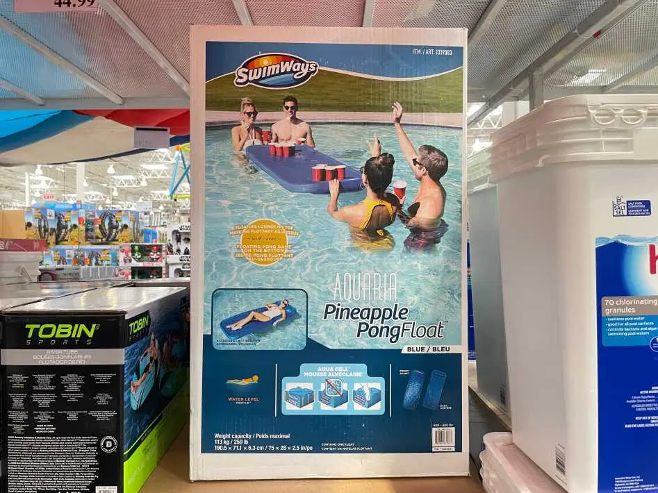SWIMWAYS REVERSIBLE POOL FLOAT - Costco Canada (ITM 1319083)