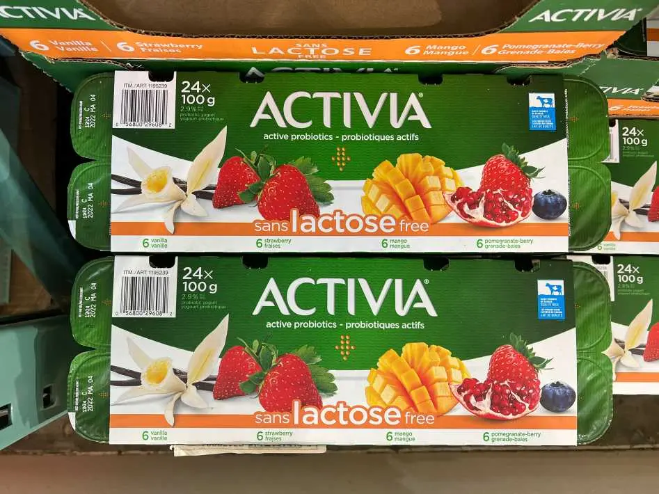 DANONE ACTIVIA LACTOSE FREE YOGURT 24 x 100 g - Costco Canada (ITM 1195239)